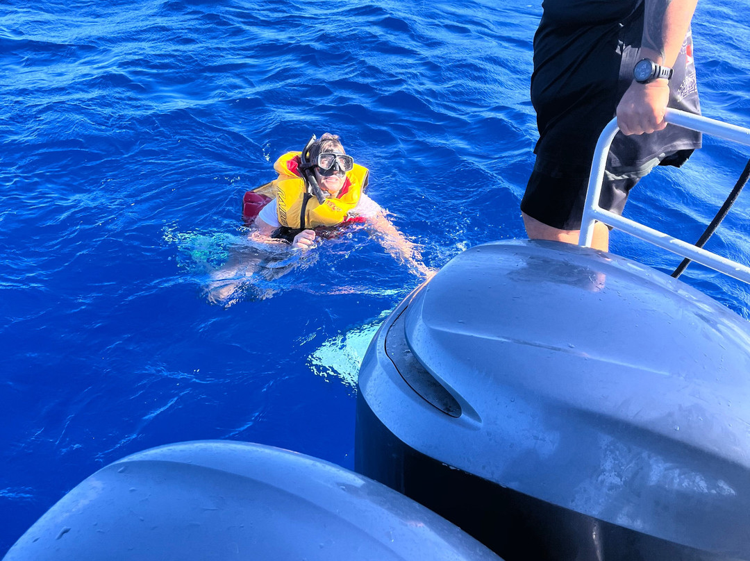 Bubbles Below-艾图塔基必去景点