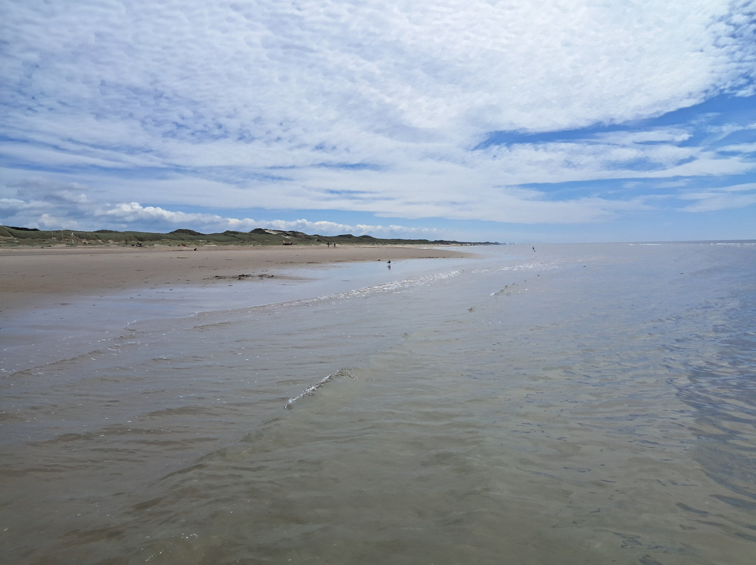 Hargen Aan Zee Strand-Schoorl必去景点