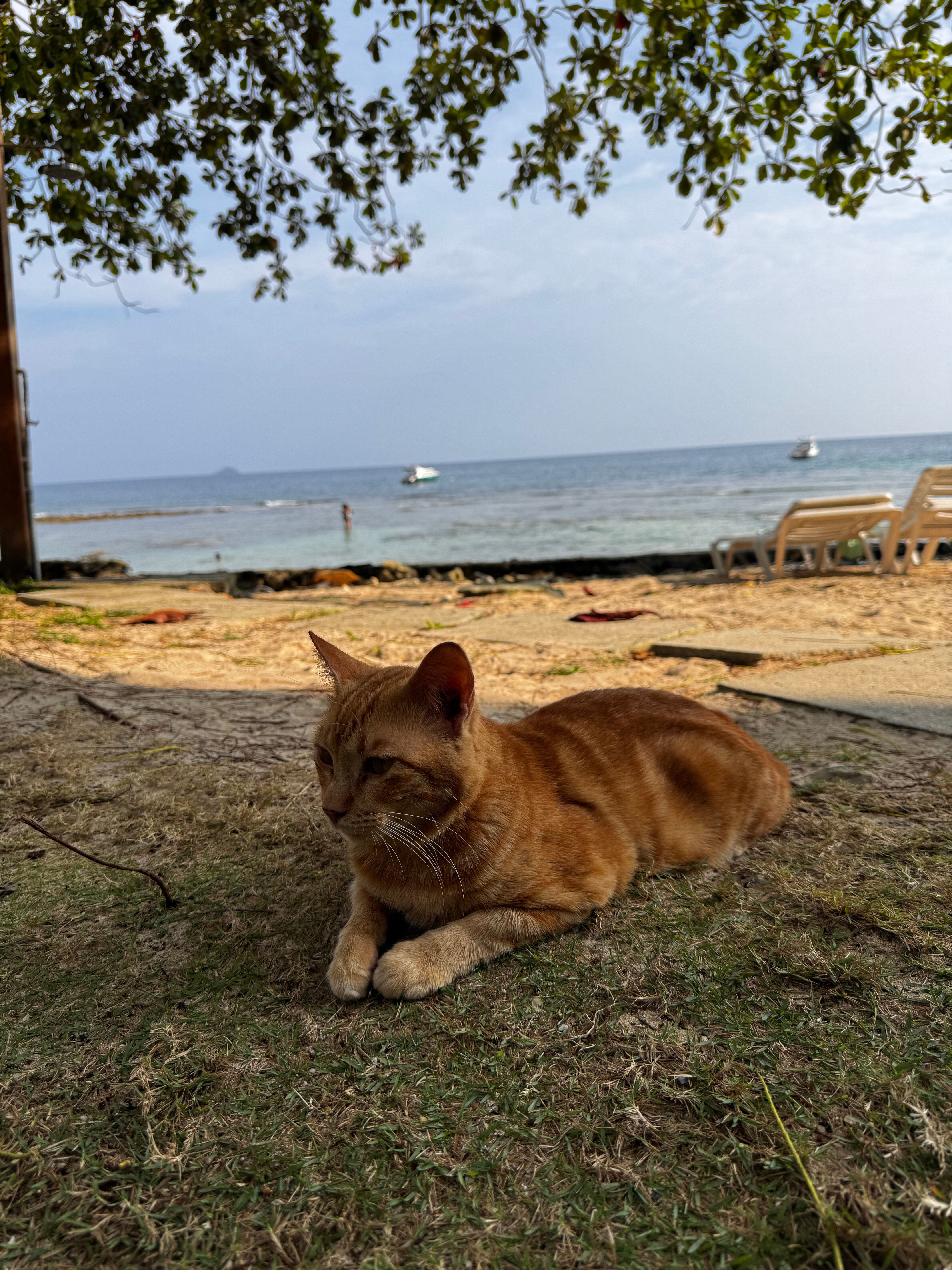 图纳玛雅海滩温泉度假村-官方
