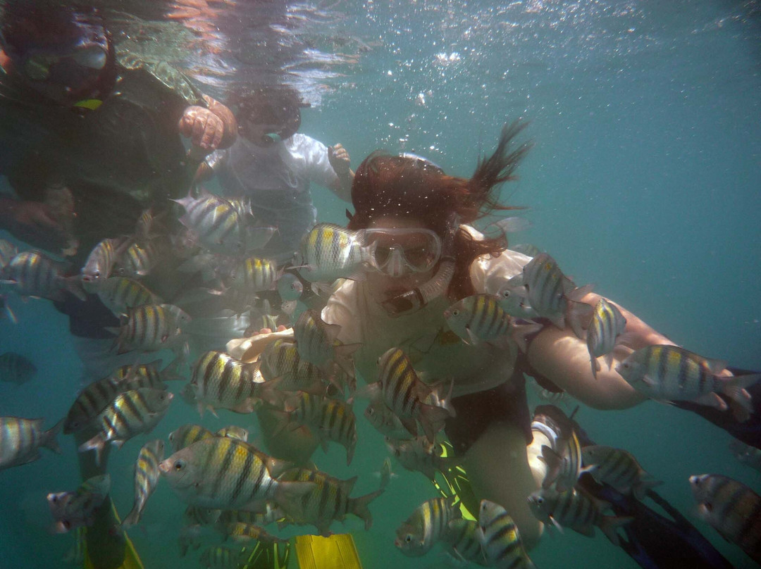 Divecenter Merlin-苏莎亚必去景点