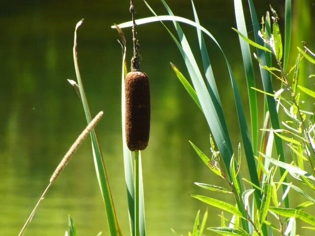 Cold Hollow Sculpture Park-Enosburg Falls必去景点