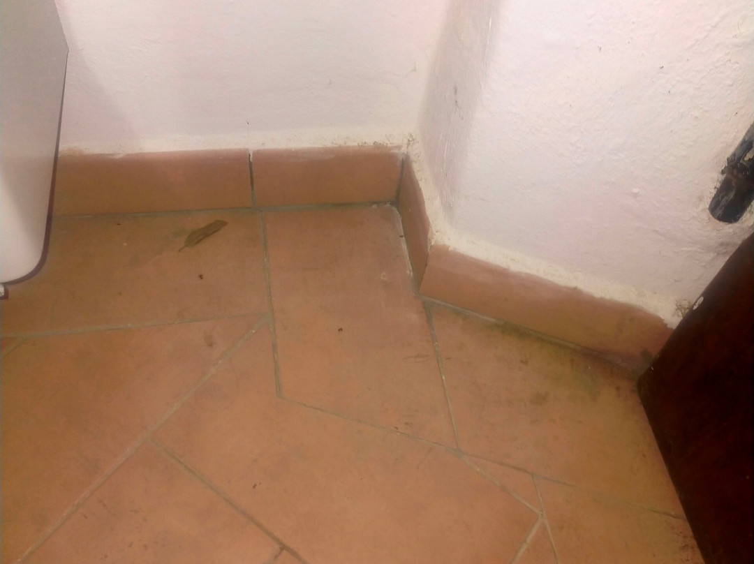 Agriturismo Le Biricoccole主图