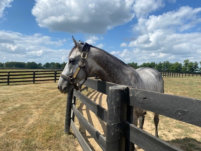 Lane's End-Versailles必去景点