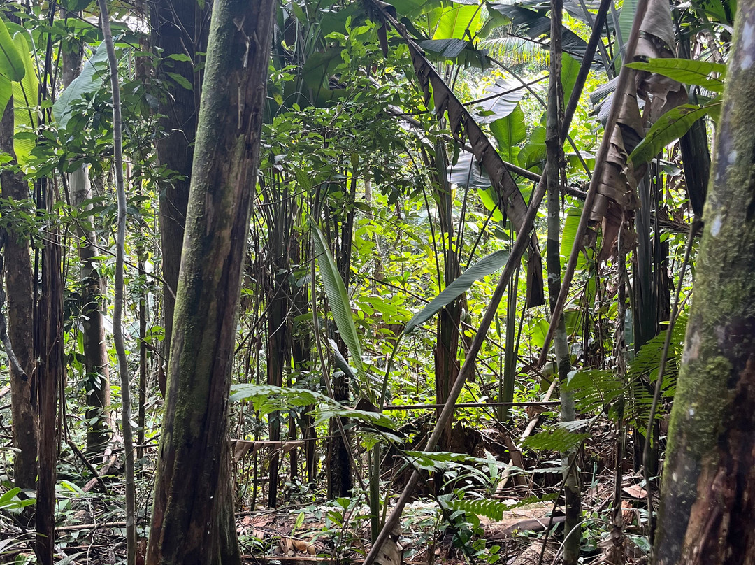 Amazon Tour-莱蒂西亚必去景点