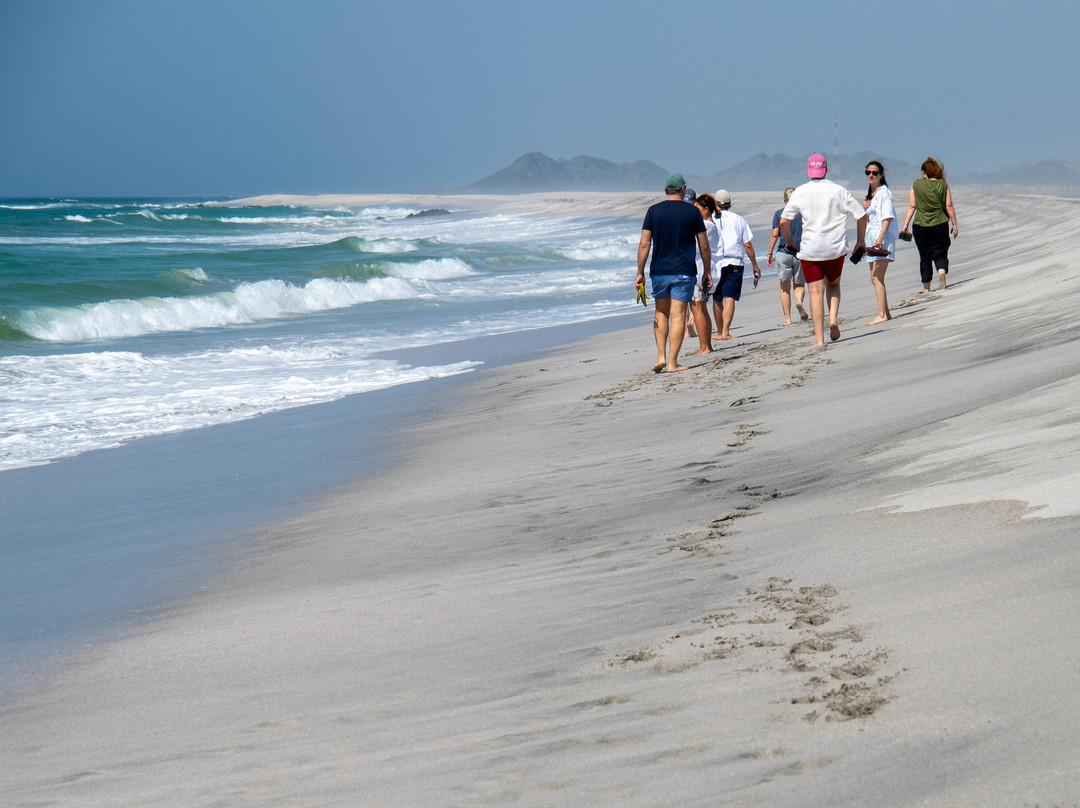 Desert Camels Adventure Tours-尼日瓦必去景点