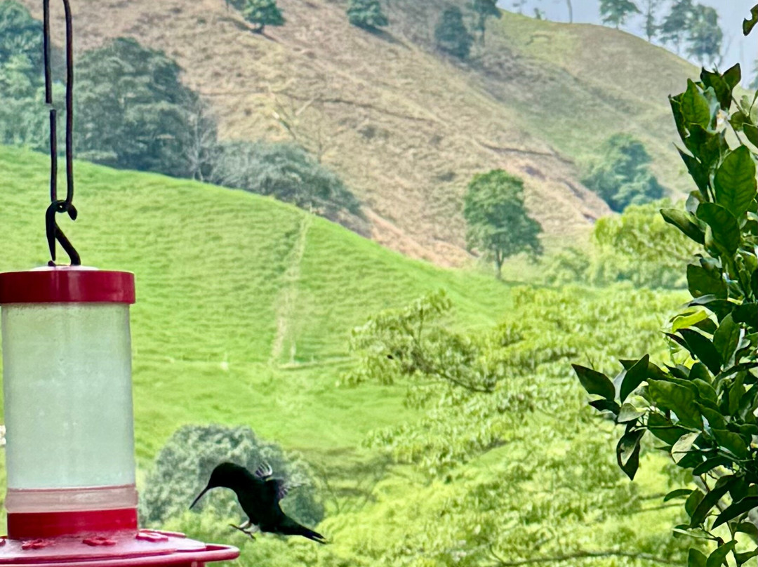 Hacienda Guayabal-Chinchina必去景点