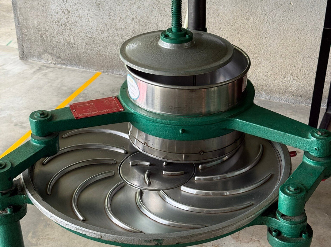 Amba Estate-班达拉维拉必去景点