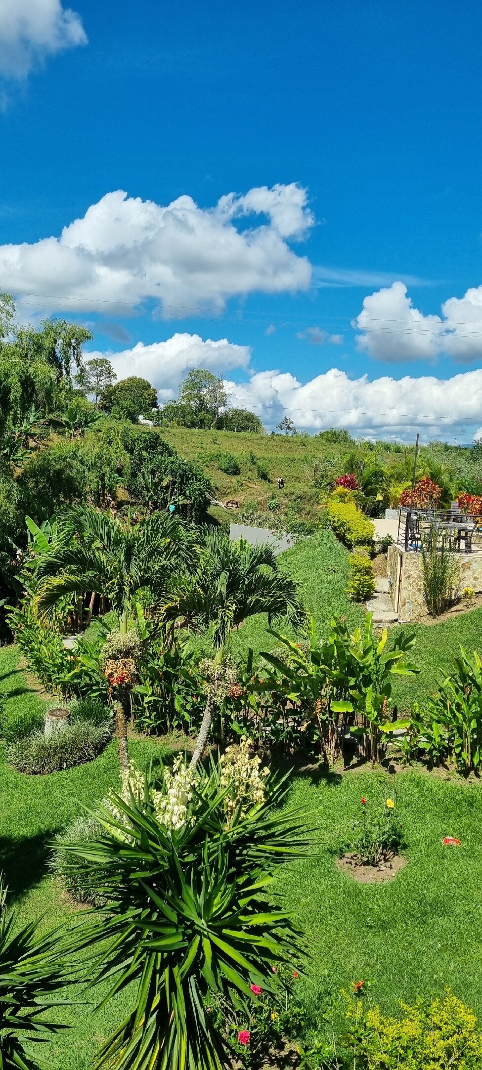 Finca Hotel Loma Verde-官方