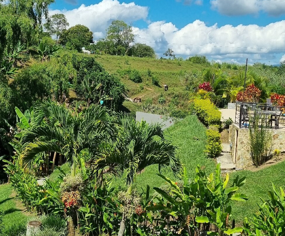 Finca Hotel Loma Verde主图