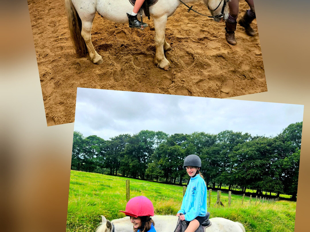 Sheans Horse Farm-Armoy必去景点