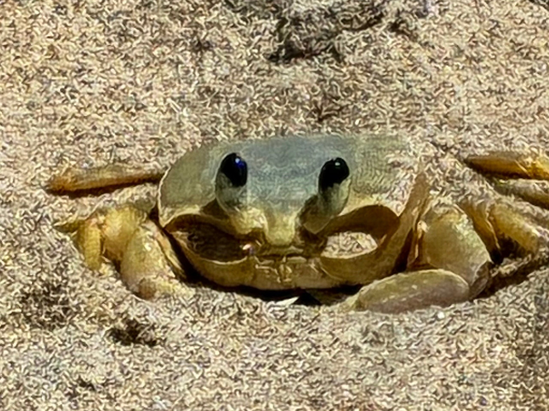 Praia São Bento-Maragogi必去景点