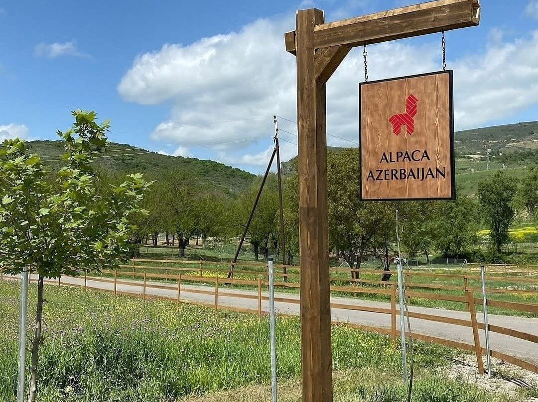 Alpaca Azerbaijan-Meysary必去景点