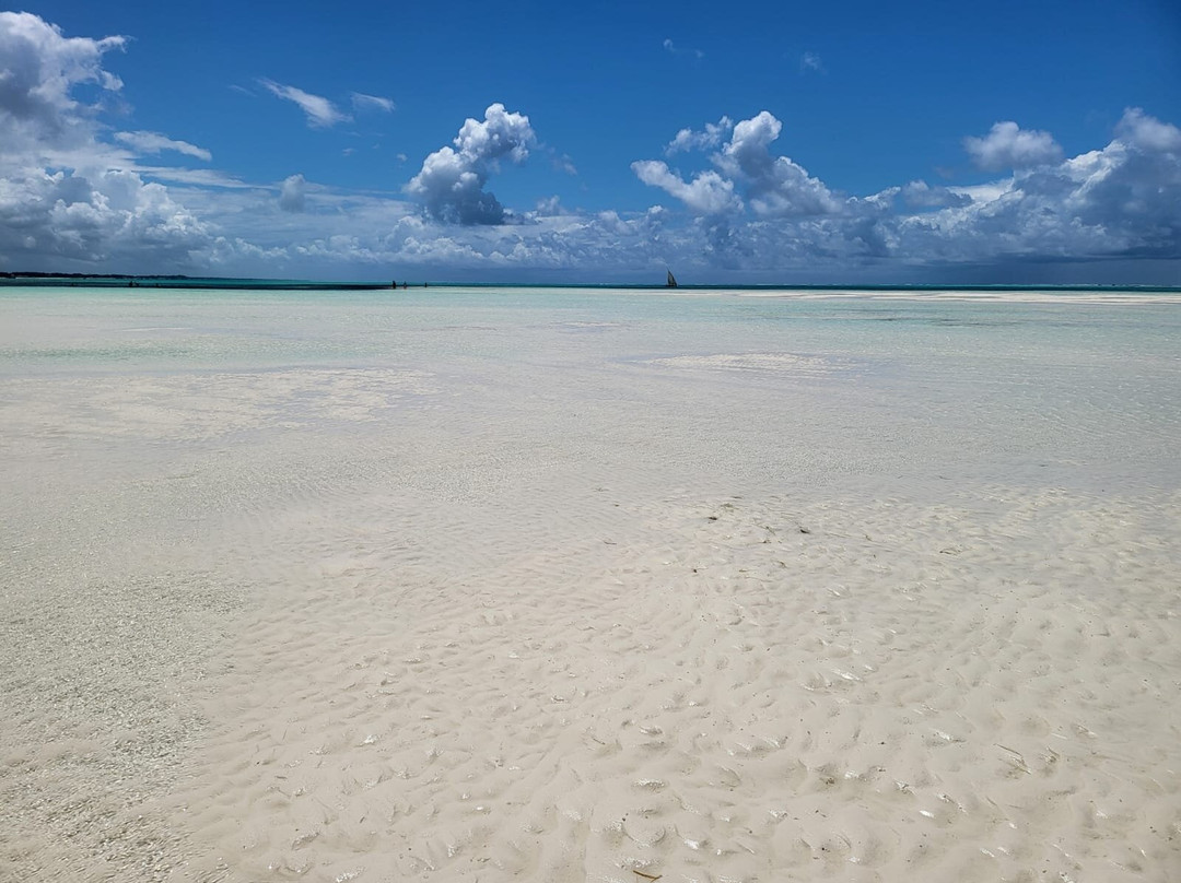 Jambiani Beach-江比阿尼必去景点