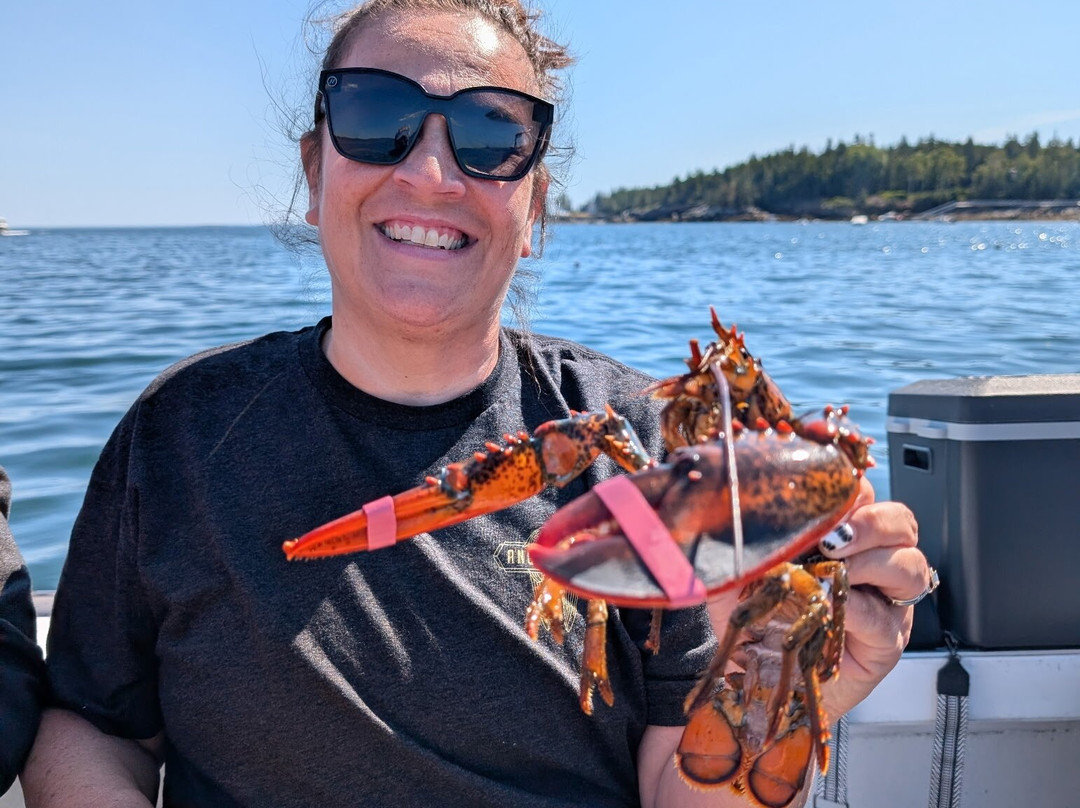 Acadia Lobster Cruise-Southwest Harbor必去景点