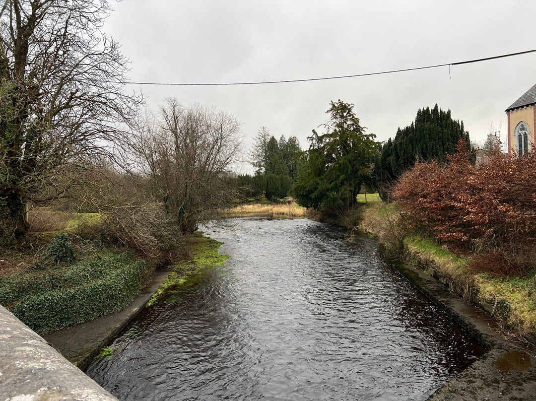 Kilmallock Medieval Tours-Kilmallock必去景点