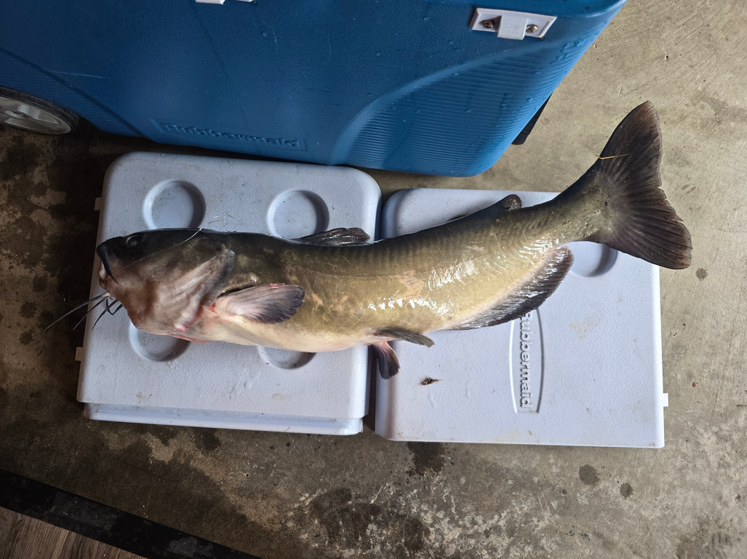 Clear Lake-克利尔湖必去景点