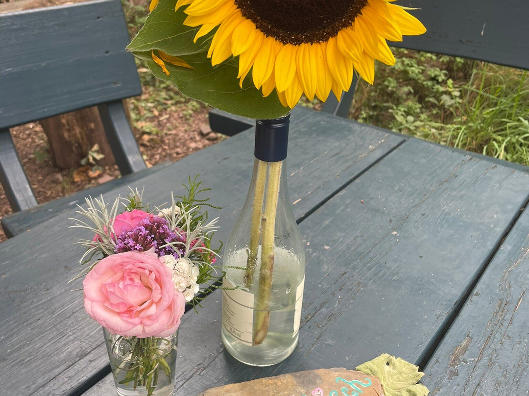 Drieschhütte-Puenderich必去景点