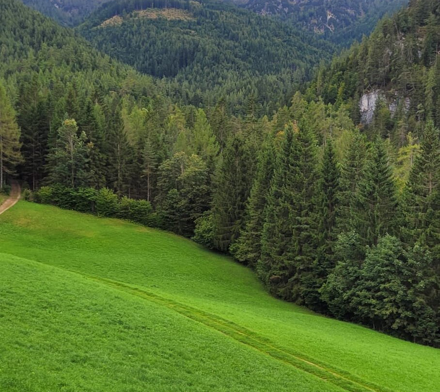 Alpengasthof Oberweissbach主图