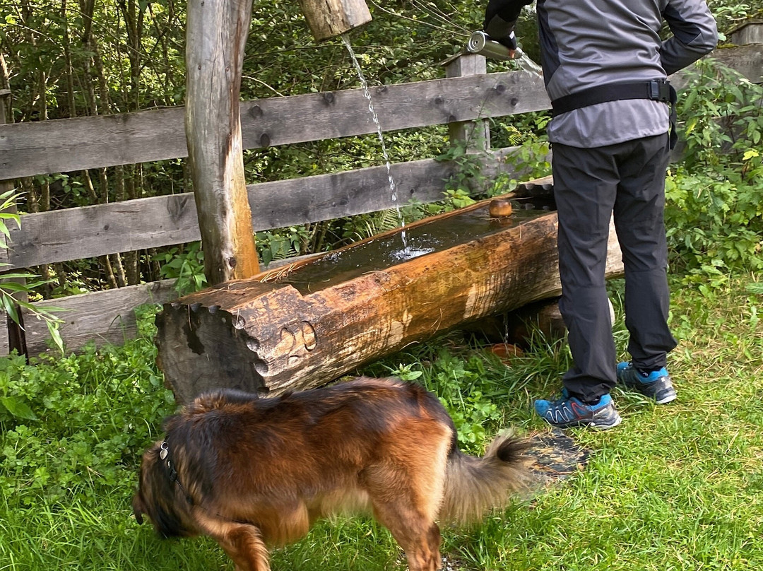 Hotel Ranuimuellerhof主图