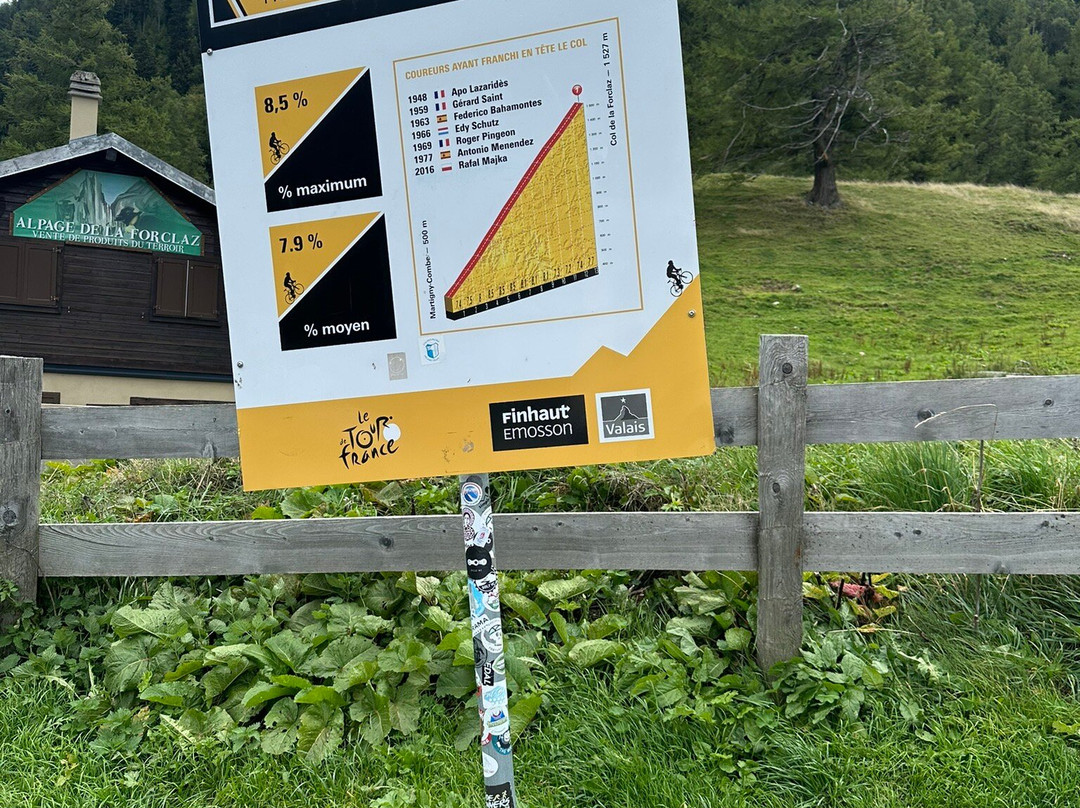 Col de la Forclaz-Trient必去景点