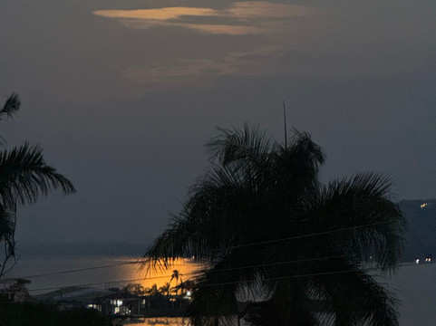 Surjio's Pizzeria & Guest House主图