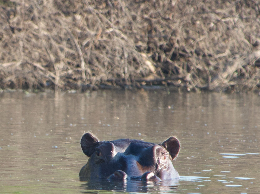 Dusty Foot Tours Namibia-温德和克必去景点