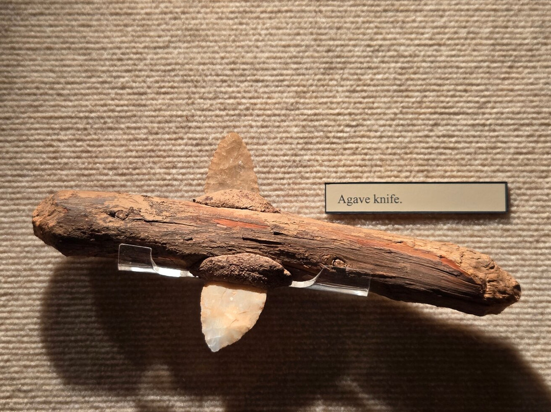 Lost City Museum-欧弗顿必去景点