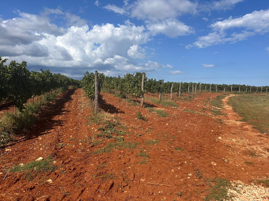 Kalavojna Winery-Loborika必去景点