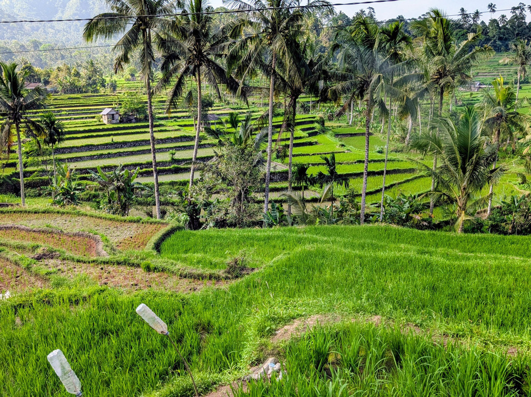 Reiseleiter Sugita-登巴萨必去景点