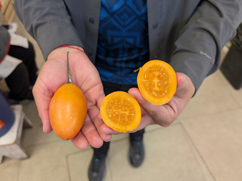 Ecuador Tour Guide Sebastian Carrera-基多必去景点