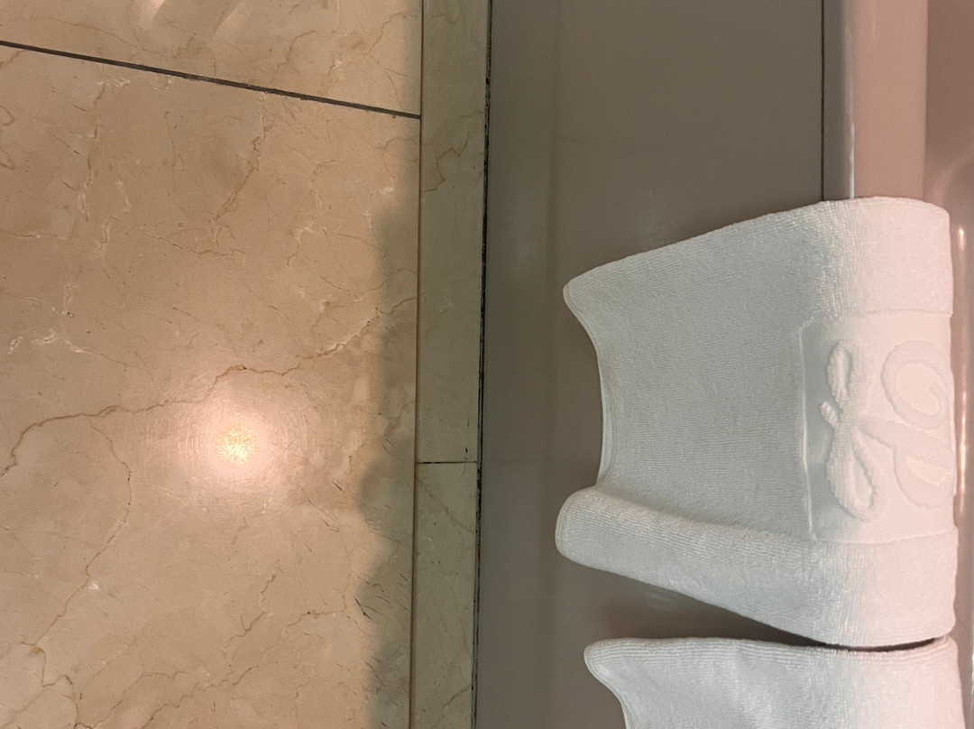 镰仓王子大饭店主图