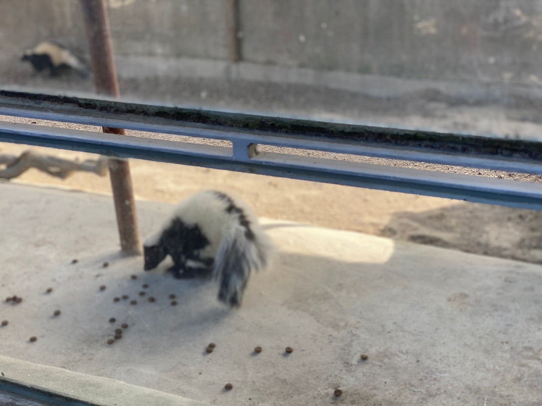 Quinta Pedagógica Quinta das Manas-吉马良斯必去景点