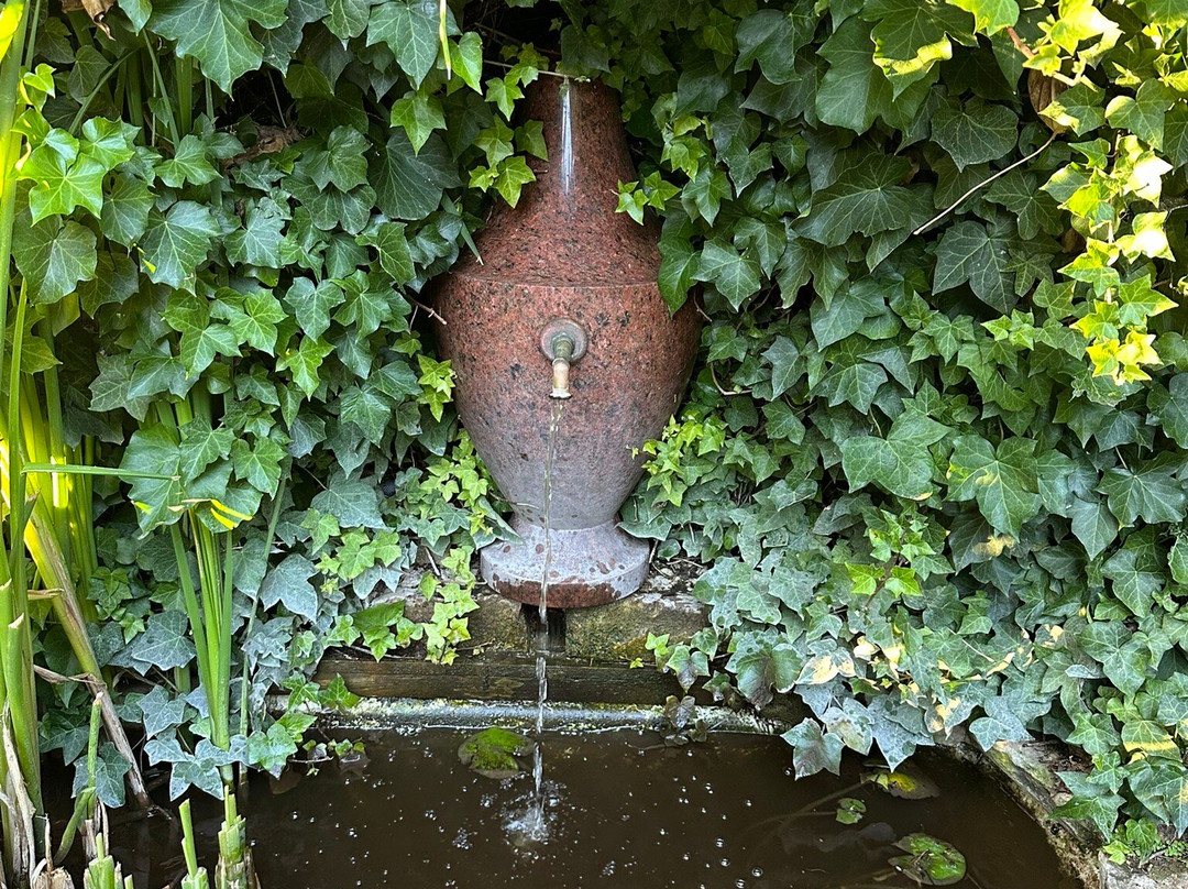 Maison d'Hotes Les Tillets主图