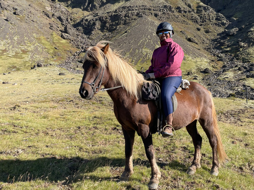 Eldhestar Volcano Horses-Olfus必去景点