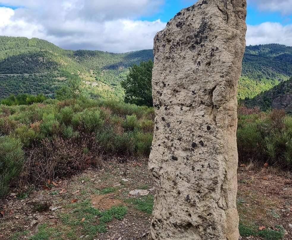 La Ferme Des Cevennes主图