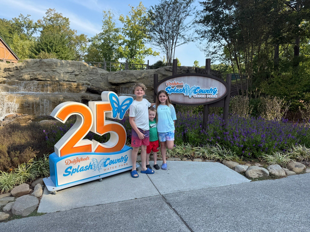 Dollywood's Splash Country-皮金福奇必去景点