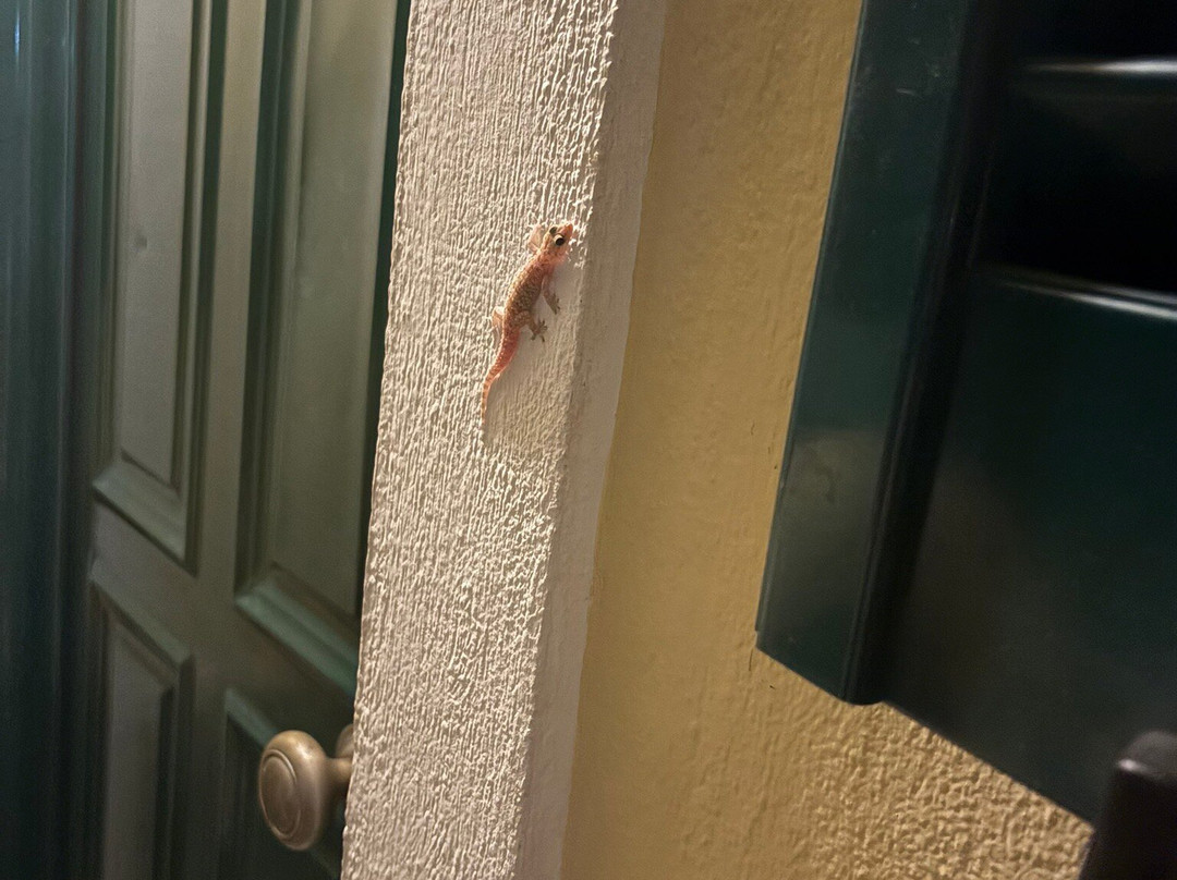 日出公寓酒店主图