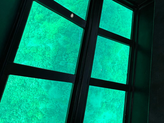 Ocean Sports Glass Bottom Boat Rides-威可洛亚必去景点