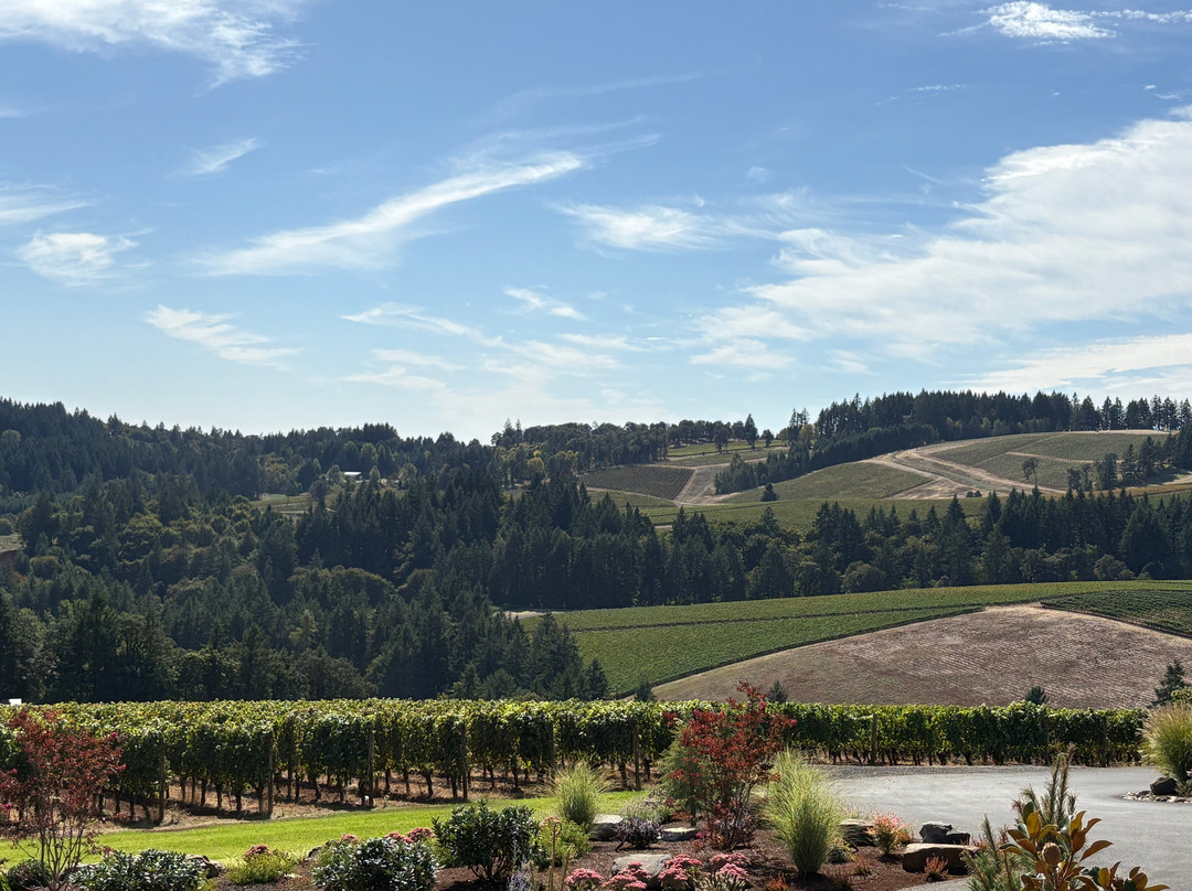 Alexana Winery-纽伯格必去景点