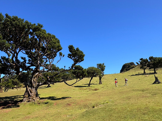 MJ Tours-沙尔必去景点