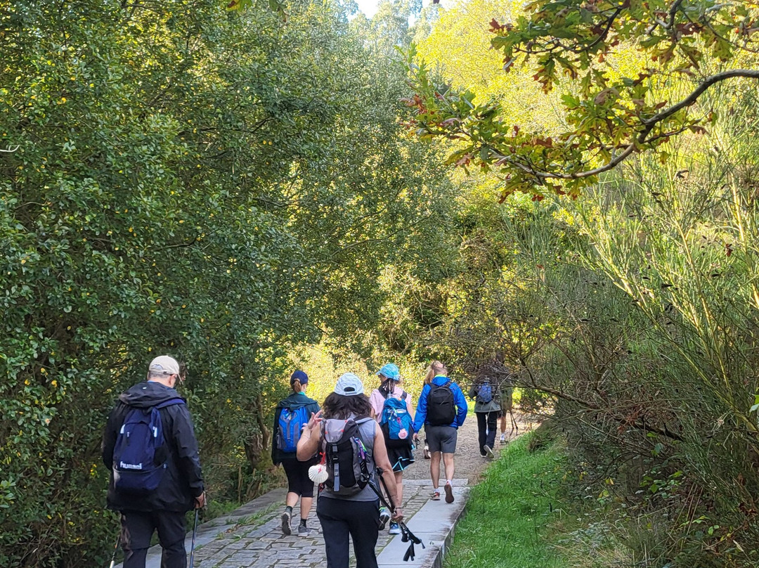 Tee Travel-圣地亚哥德孔波斯特拉必去景点