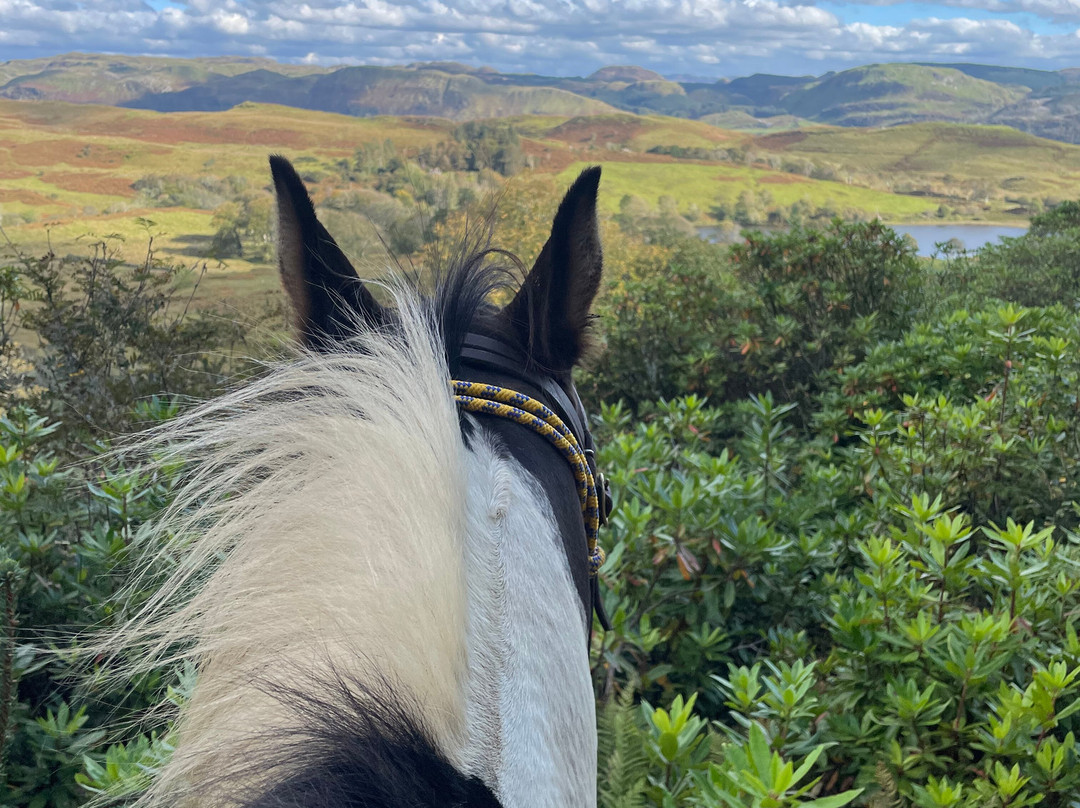 Lunga Riding Stables-Lochgilphead必去景点