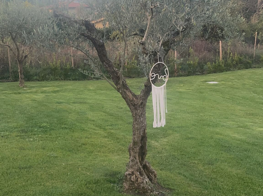 B&B Antica Trattoria Bacco主图