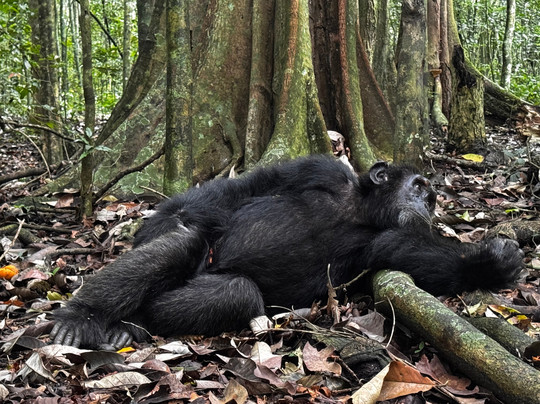 Journeys Uganda-恩德培必去景点