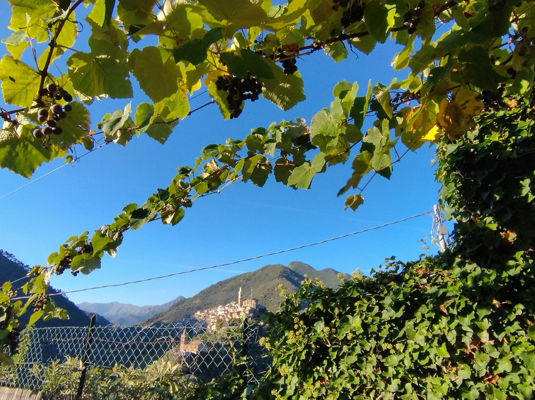 Badalucco酒店住宿-Il Poggio di Maro