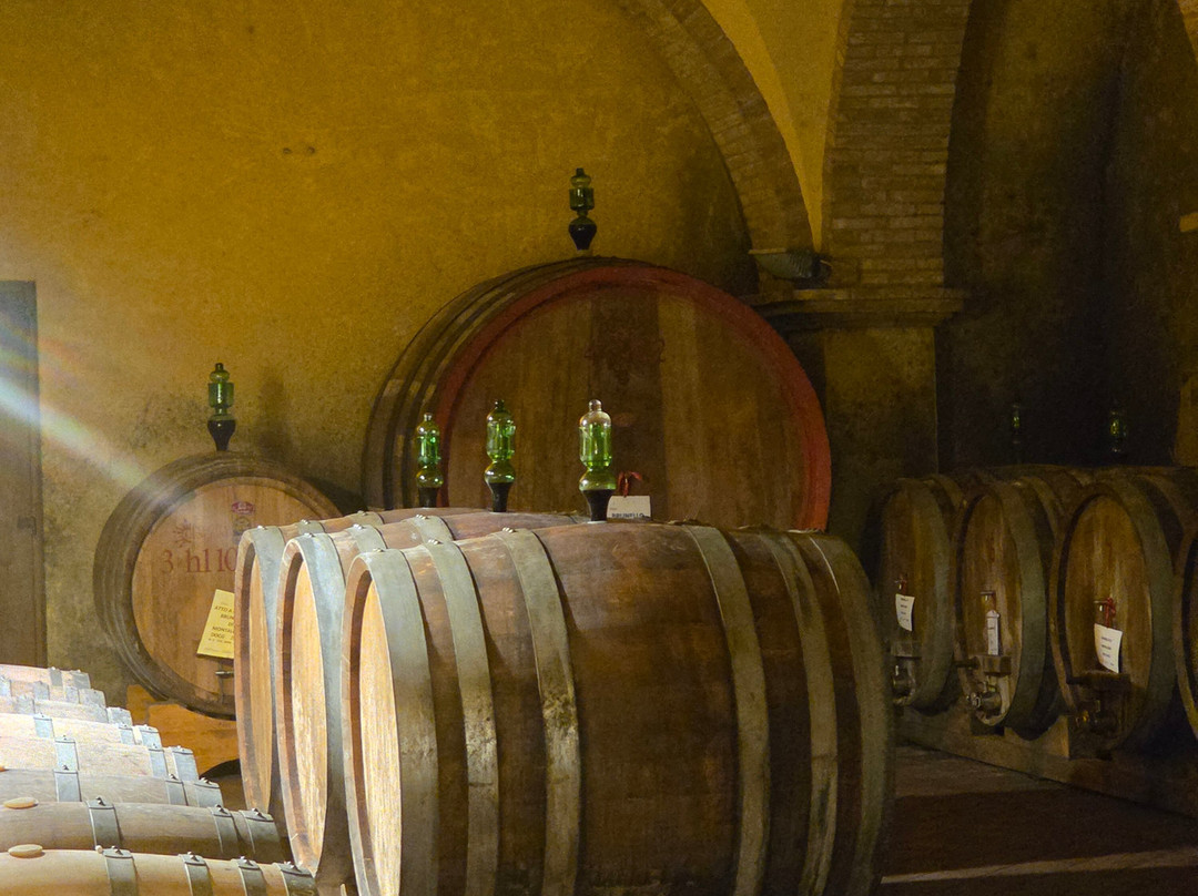 Into The Vineyard-温哥华必去景点