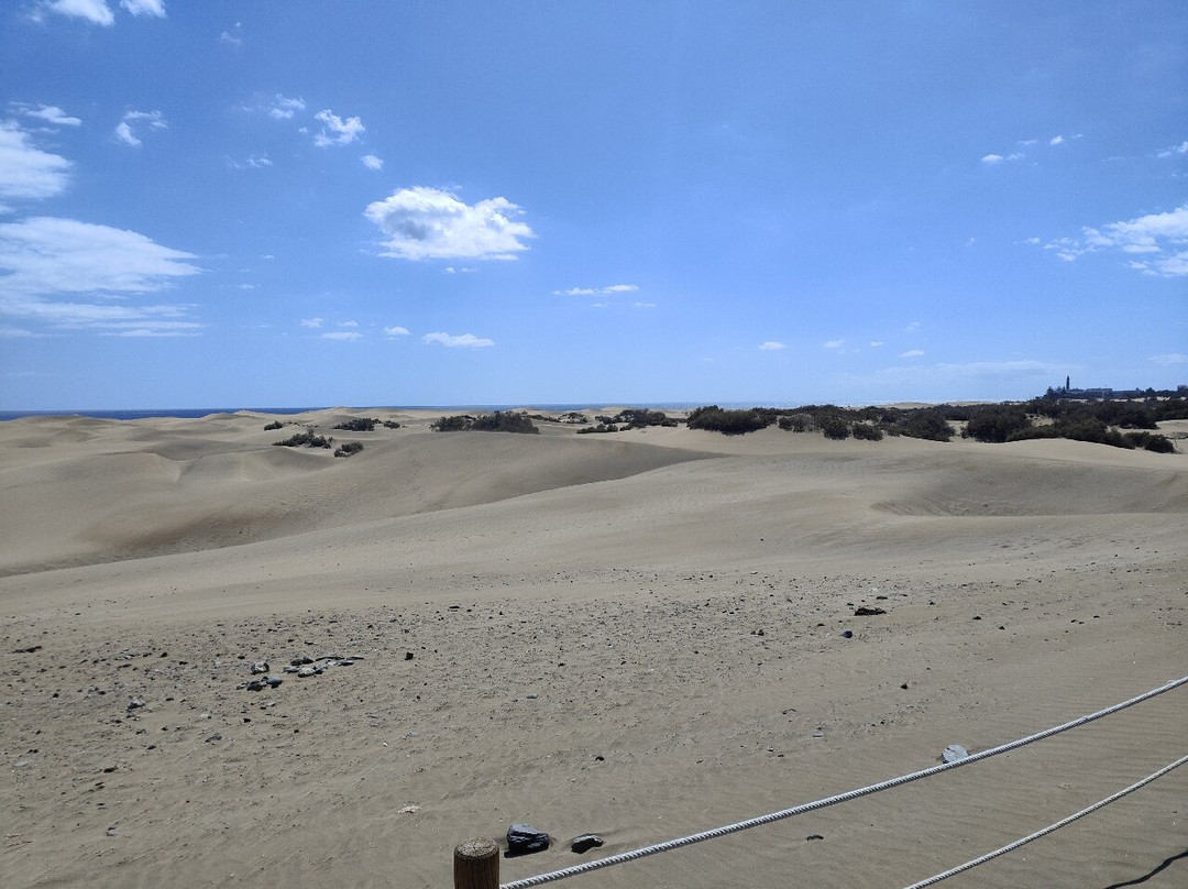 Monumento a la Vela Latina-大加那利岛拉斯帕尔马斯必去景点