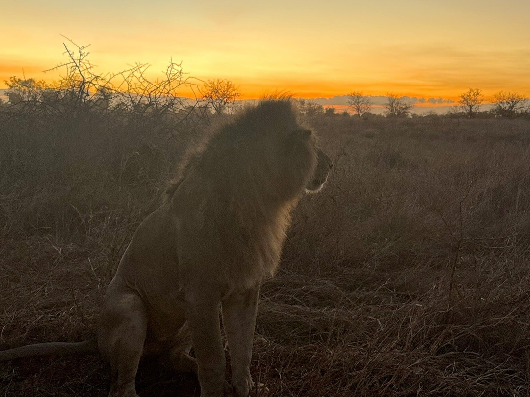 Garibaldi Safari Kenya-瓦塔木必去景点