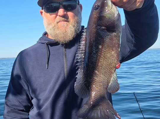 Teazer Charters-南波特兰必去景点