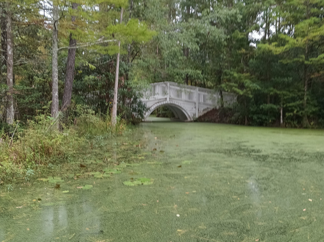 Cypress Gardens-蒙克斯科纳必去景点